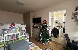 Apartament 1 cameră, 37 mp, zona Central