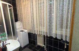 Casă spațioasă 280 mp utili, zonă centrală – lângă Piața Izvoarelor | Garaj