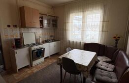 Casă spațioasă 280 mp utili, zonă centrală – lângă Piața Izvoarelor | Garaj