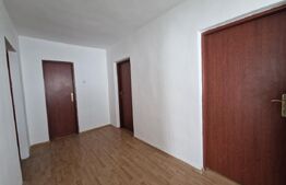 Casă spațioasă în comuna Recea, într-o zonă liniștită și bine poziționata