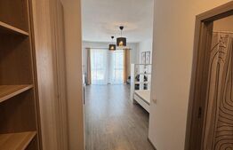 Apartament 1 camera, 34 mp, zona Orașul Vechi