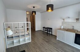Apartament 1 camera, 34 mp, zona Orașul Vechi
