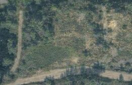 Teren intravilan Tautii Magheraus pentru constructii civile sau dezvoltare