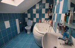 Vilă individuală, 180 mp, teren 11 ari, zona Sud-Est