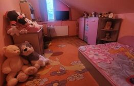 Vilă individuală, 180 mp, teren 11 ari, zona Sud-Est