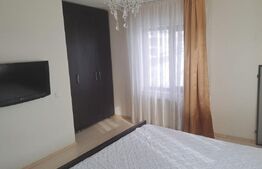 Duplex, 300 mp, zona Valea Borcutului