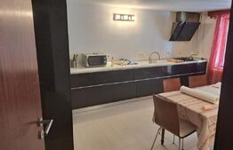 Duplex, 300 mp, zona Valea Borcutului