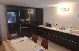 Duplex, 300 mp, zona Valea Borcutului