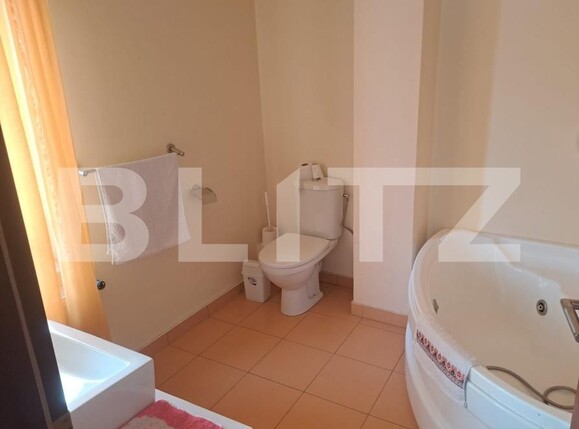 Casa de închiriat 7 camere Valea Borcutului - 186081CI | BLITZ Baia Mare | Poza10