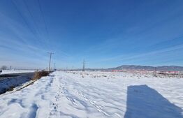 Teren intravilan, 16 hectare, zona Vest - strada Europa