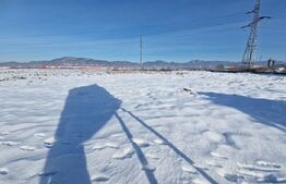 Teren intravilan, 16 hectare, zona Vest - strada Europa