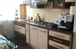 Apartament 2 camere, 50 mp, zona Central - Presco 