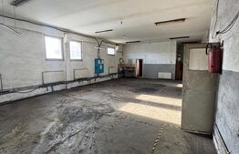 Hale industriale, 628 mp, teren 2.857 mp, front 100 m, zona Orasul Vechi