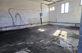 Hale industriale 561 mp, teren 2.827 mp – posibilă achiziție cu firmă