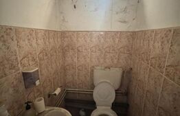 Hale industriale, 628 mp, teren 2.857 mp, front 100 m, zona Orasul Vechi