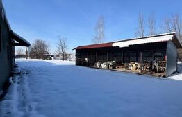 Hale industriale, 628 mp, teren 2.857 mp, front 100 m, zona Orasul Vechi