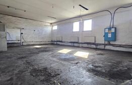 Hale industriale 561 mp, teren 2.827 mp – posibilă achiziție cu firmă