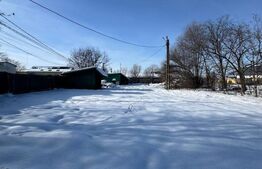 Hale industriale, 628 mp, teren 2.857 mp, front 100 m, zona Orasul Vechi