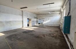 Hale industriale, 628 mp, teren 2.857 mp, front 100 m, zona Orasul Vechi