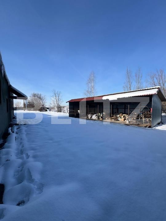 Spațiu industrial de vânzare Orasul Vechi - 186249SVI | BLITZ Baia Mare | Poza2