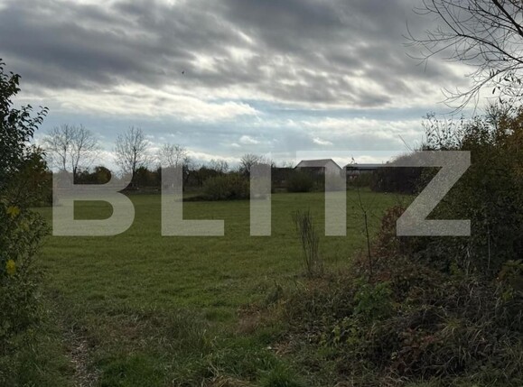 Teren de vânzare Mogosesti - 186511TV | BLITZ Baia Mare | Poza3