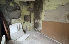 Casa 116 mp, teren 243 mp, anexa 37 mp, zona Grivitei