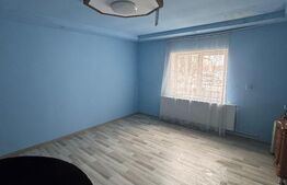 Casa 116 mp, teren 243 mp, anexa 37 mp, zona Grivitei