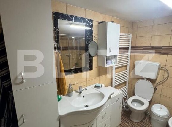 Casa de vânzare 3 camere Grivitei - 186694CV | BLITZ Baia Mare | Poza13