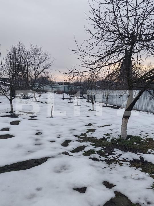 Casa de vânzare 4 camere Tautii de Sus - 186825CV | BLITZ Baia Mare | Poza5