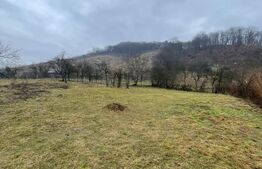 Casa reconsolidată cu teren generos — Oportunitate excelentă la preț foarte bun!