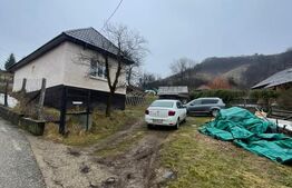 Casa reconsolidată cu teren 60 arii — Oportunitate excelentă la preț foarte bun!