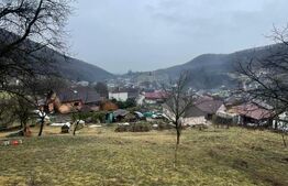 Casa reconsolidată cu teren 60 arii — Oportunitate excelentă la preț foarte bun!