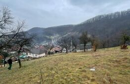 Casa reconsolidată cu teren 60 arii — Oportunitate excelentă la preț foarte bun!