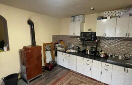Casa reconsolidată cu teren 60 arii — Oportunitate excelentă la preț foarte bun!