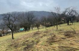 Casa reconsolidată cu teren generos — Oportunitate excelentă la preț foarte bun!