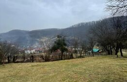 Casa reconsolidată cu teren 60 arii — Oportunitate excelentă la preț foarte bun!