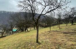 Casa reconsolidată cu teren generos — Oportunitate excelentă la preț foarte bun!