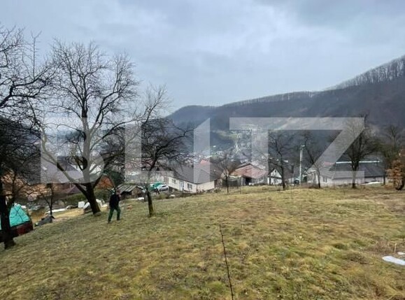 Casa de vânzare 2 camere Baita - 186843CV | BLITZ Baia Mare | Poza1