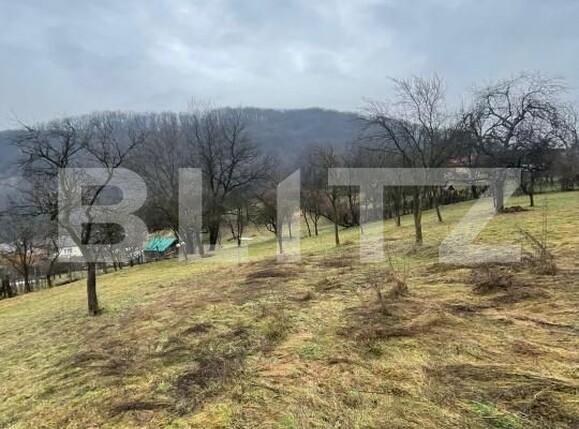Casa de vânzare 2 camere Baita - 186843CV | BLITZ Baia Mare | Poza6