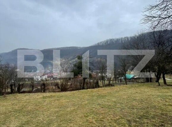 Casa de vânzare 2 camere Baita - 186843CV | BLITZ Baia Mare | Poza4