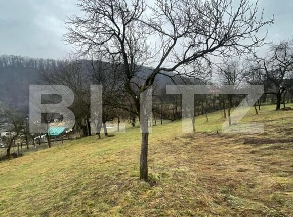 Casa de vânzare 2 camere Tautii-Magheraus - 186843CV | BLITZ Baia Mare | Poza8