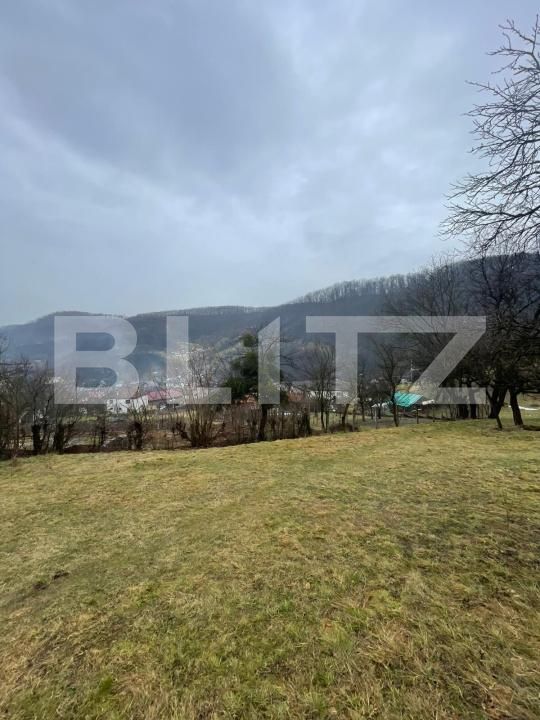 Casa de vânzare 2 camere Baita - 186843CV | BLITZ Baia Mare | Poza4