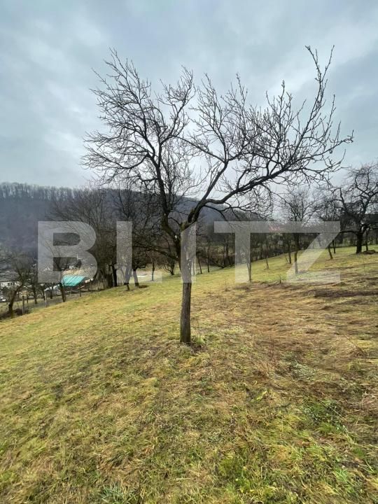 Casa de vânzare 2 camere Tautii-Magheraus - 186843CV | BLITZ Baia Mare | Poza8