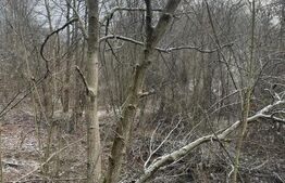 Teren 866 mp | Zonă retrasă | Utilități la teren | Ideal casă de vacanță