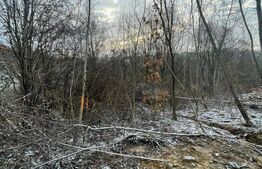 Teren 866 mp | Zonă retrasă | Utilități la teren | Ideal casă de vacanță