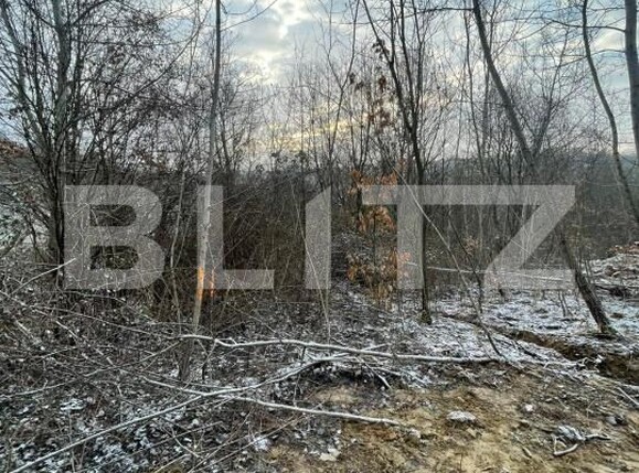 Teren de vânzare Tautii-Magheraus - 187068TV | BLITZ Baia Mare | Poza1