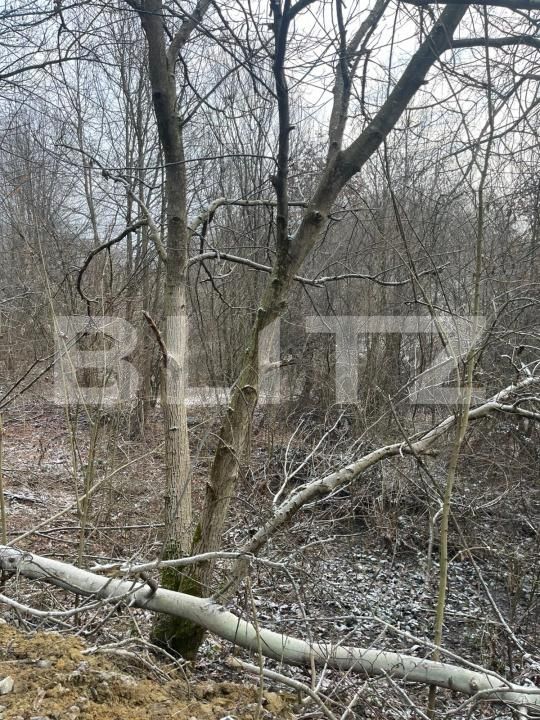 Teren de vânzare Tautii-Magheraus - 187068TV | BLITZ Baia Mare | Poza2