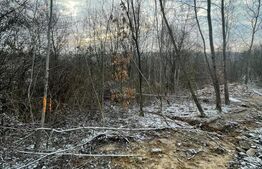 Teren 868 mp | Zonă retrasă | Utilități la teren | Ideal casă de vacanță