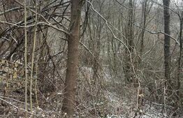 Teren 868 mp | Zonă retrasă | Utilități la teren | Ideal casă de vacanță