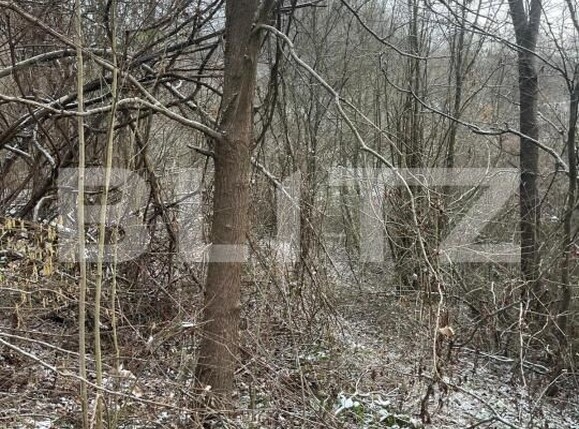 Teren de vânzare Tautii-Magheraus - 187070TV | BLITZ Baia Mare | Poza3